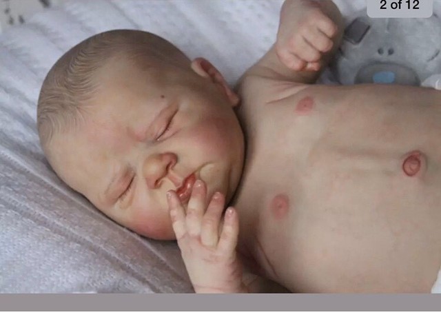 gumtree reborn baby dolls